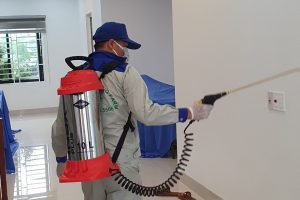 DỊCH VỤ DIỆT MUỖI