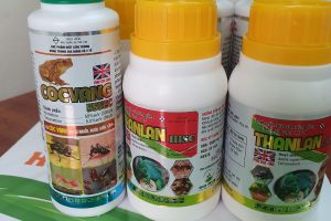 CÁC NHÓM HÓA CHẤT DIỆT CÔN TRÙNG HIỆN NAY