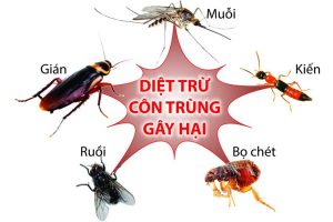 DỊCH VỤ DIỆT VÀ KIỂM SOÁT CÔN TRÙNG