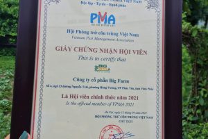 CÔNG TY CỔ PHẦN BIG FARM – THÀNH VIÊN CHÍNH THỨC CỦA HỘI PHÒNG TRỪ CÔN TRÙNG VIỆT NAM