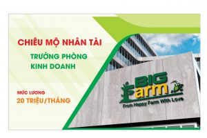 TUYỂN DỤNG : TRƯỞNG PHÒNG KINH DOANH