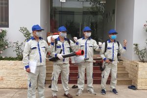 Thuốc diệt muỗi và những điều bạn nên biết!