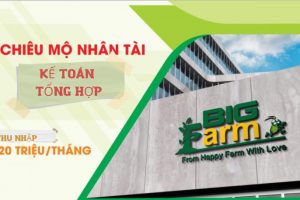 TUYỂN DỤNG: KẾ TOÁN TỔNG HỢP