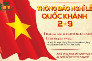 Thông báo lịch nghỉ Lễ Quốc khánh mùng 2/9 năm 2022