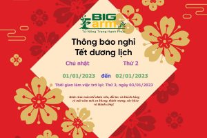 Thông báo lịch nghỉ Tết dương lịch 2023